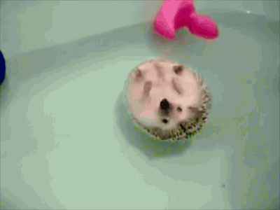 LAWvV6J.gif