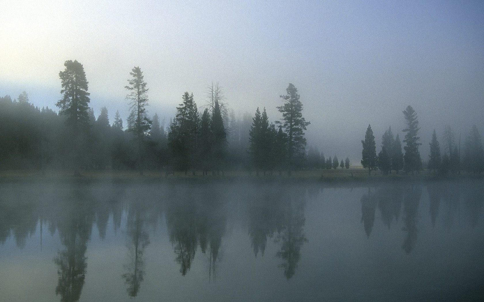 fog-pictures-3.jpg