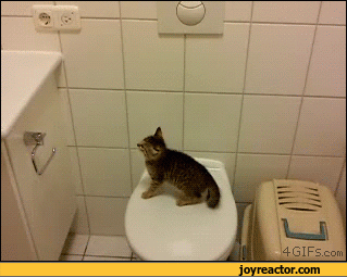 gif-cats-fail-jump-751368.gif