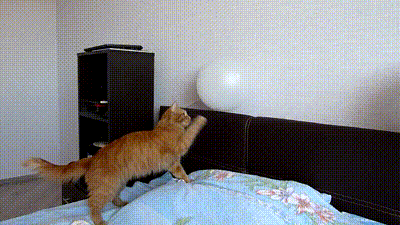 YcIYHfVbW4hR6.gif