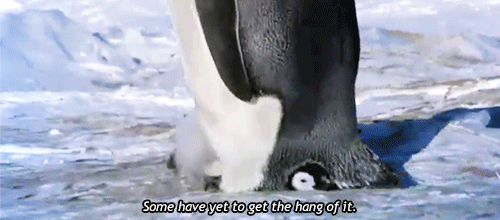 ECl.gif