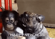happy-new.gif