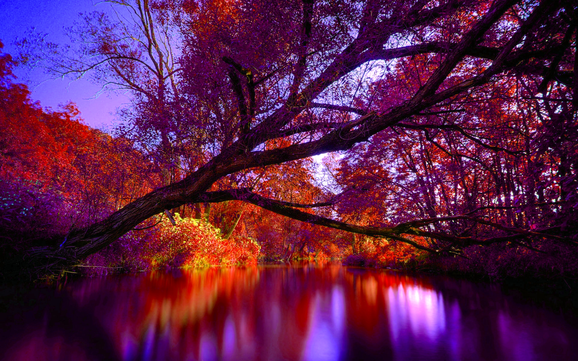 Autumn-Forest-River-1.jpg
