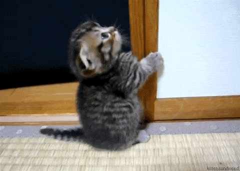 QSnT9fI.gif