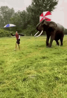 elephant-run.gif