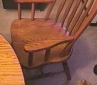 flip.gif
