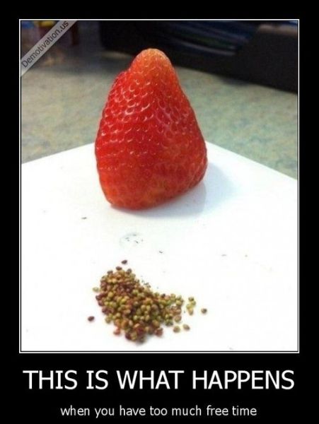 funny_picdump_427_640_50.jpg