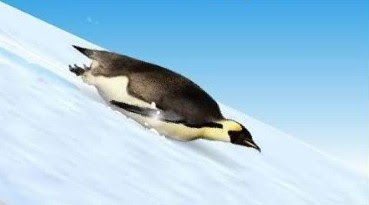 SlidingPenguin.jpg