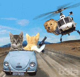 97d7f0cff6e7bbf4f6dc21afba29aa9b.gif