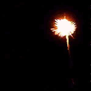 365632_ueef3csgusk3ocd.gif