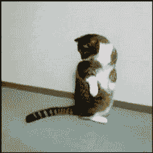 FfTFd6t.gif