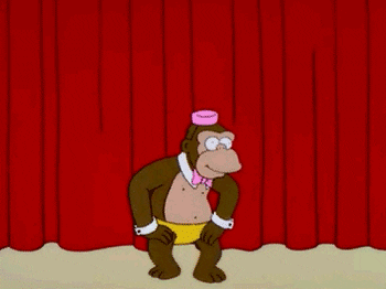 giphy.gif