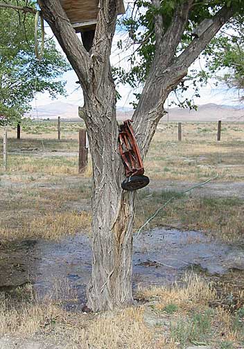 Thunder19.jpg