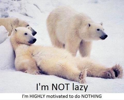 I'm+not+lazy.jpg