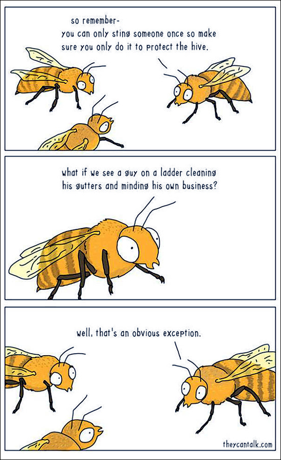 toon_why-bees-sting.jpg
