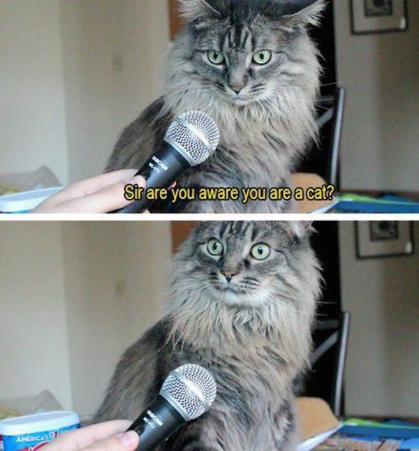 0iR1mWq.jpg