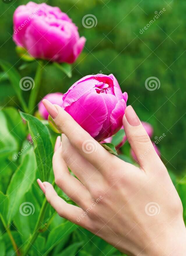 c9dd987031de84dde4f37741531cd3e0.jpg