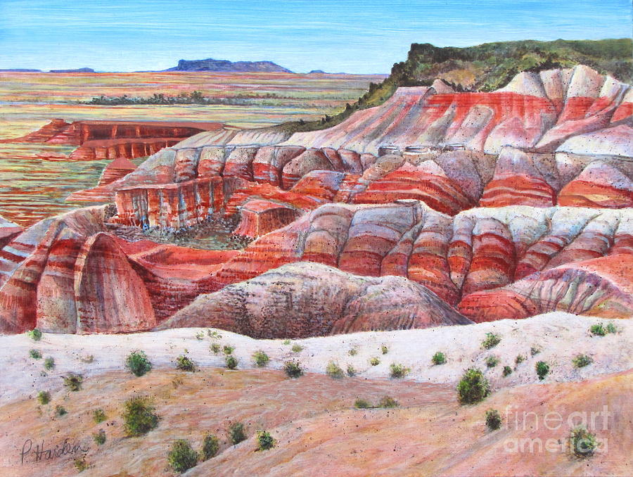 painted-desert-ii-pamela-iris-harden.jpg