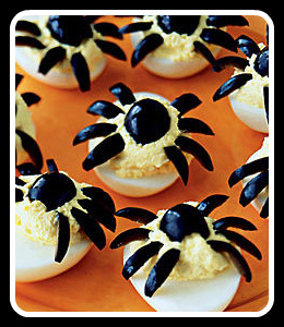 spider-eggs-l-1.jpg