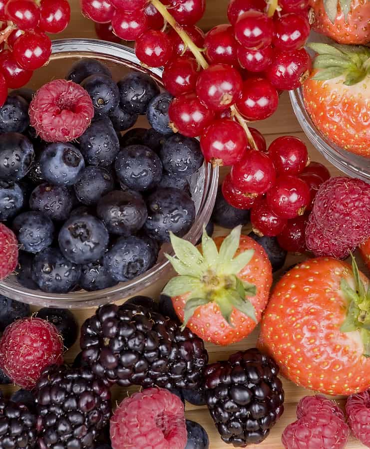 Berry-harvest1.jpg