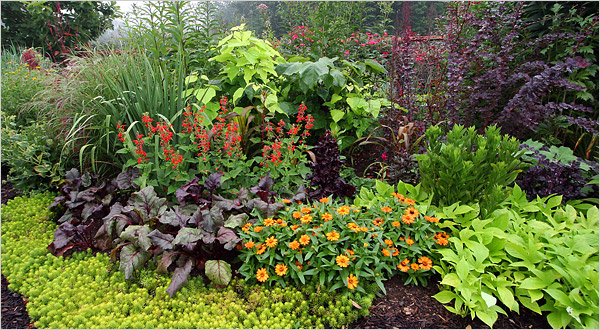 31garden-600.jpg