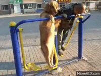 f62013076f6c384ce741e3b67504a957_w200.gif