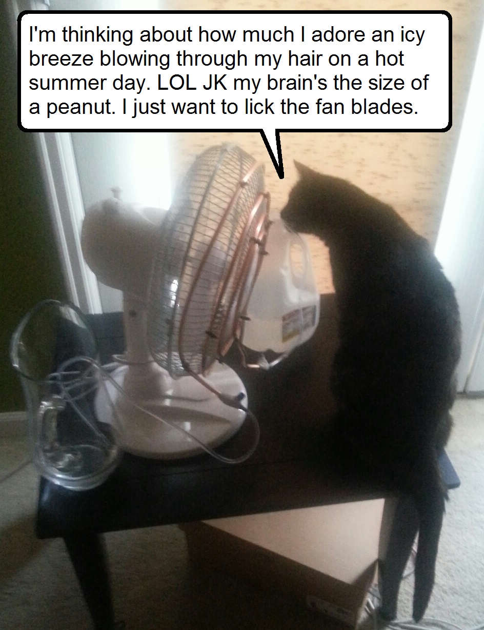 LickTheFan.jpg