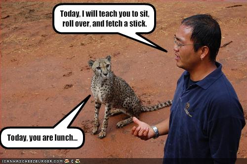 teaching.jpg
