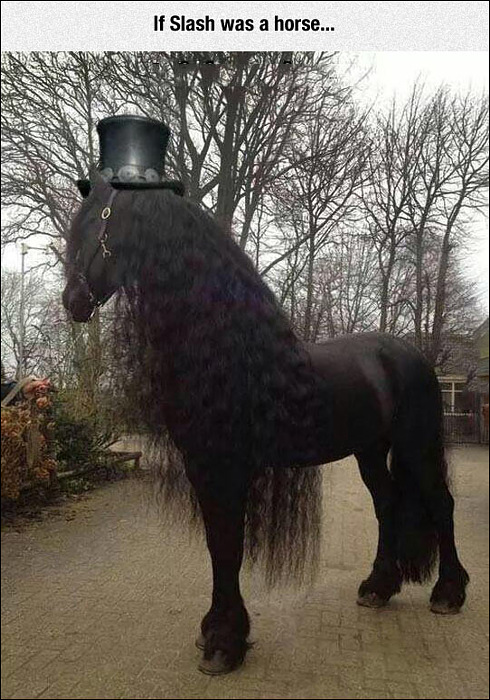 slash-horse.jpg