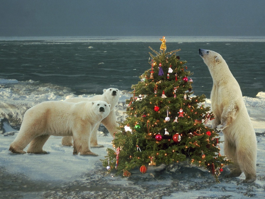 polar-bear-and-christmas-tree_1.jpg