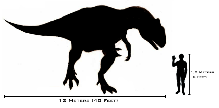 Human-allosaurus_size_comparison.png