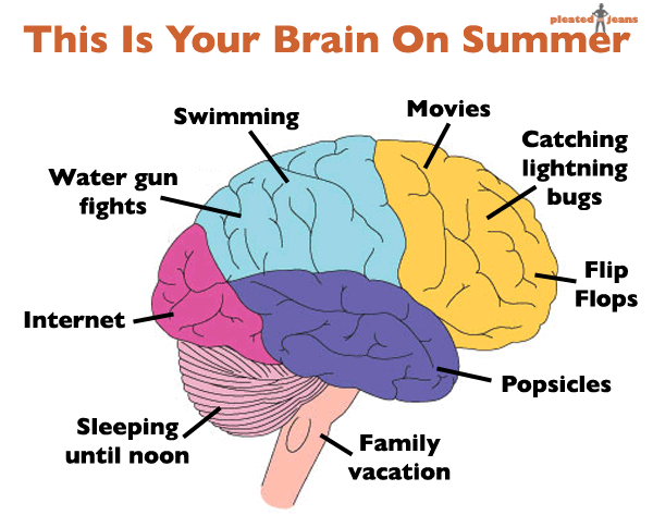 this-is-your-brain-on-summer.png