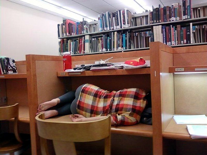 library-sleeper.jpg