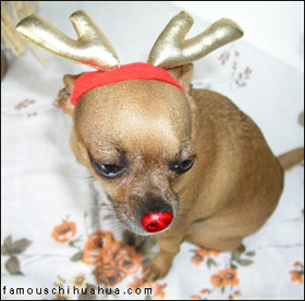 teaka-rudolph.jpg