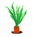Bunny_carrot.gif