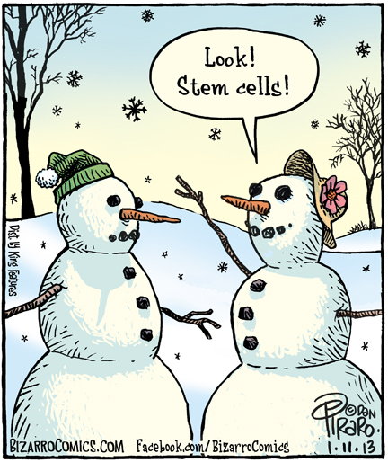 Stem-Cells.jpg