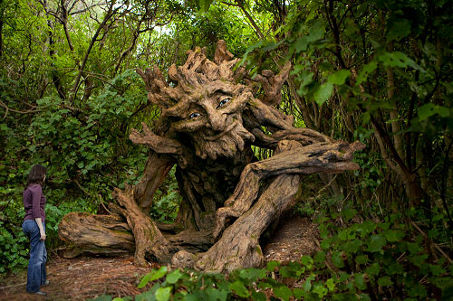 tree-old-man.jpg