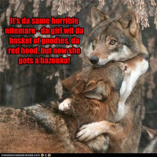 Funny-pictures-wolf-has-bad-dream.jpg