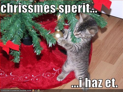 christmas-tree-cat.jpg
