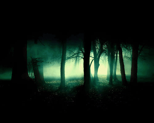 dark-forrest-nature-spooky-trees-wood-Favim.com-92703.jpg
