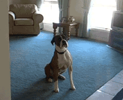 wanna-go-for-a-walk
