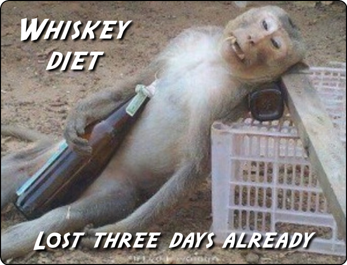 whiskey-diet-monkey-reverse.png