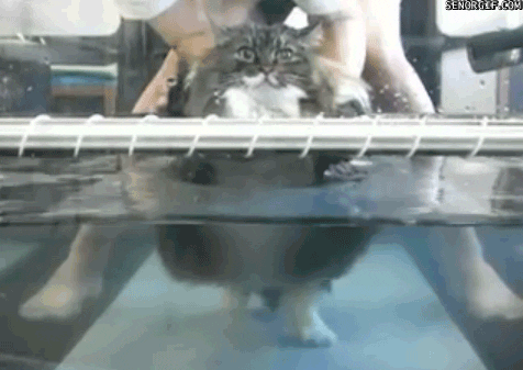 yoJC2xWgHRuAKZjpBK.gif