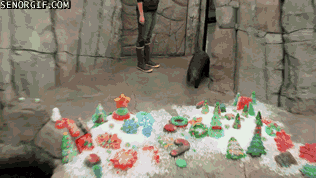 otterly-enjoyable-christmas-time
