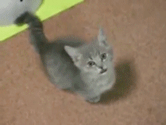 S1my73n.gif