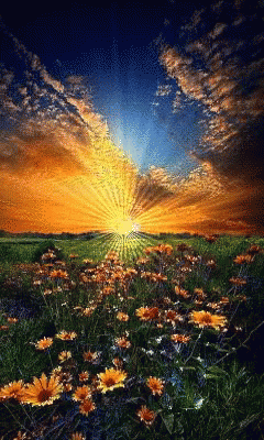 e84939dd99a52048a3ea3125d7ddcae3.gif