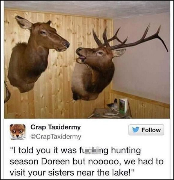 deer-head-argument.jpg
