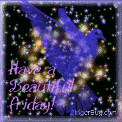beautiful_friday_bird.gif