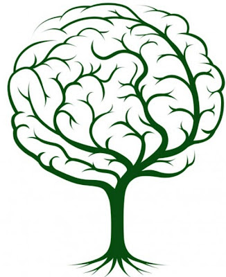arbol.jpg