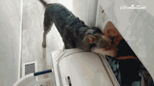 get-it-helping.gif